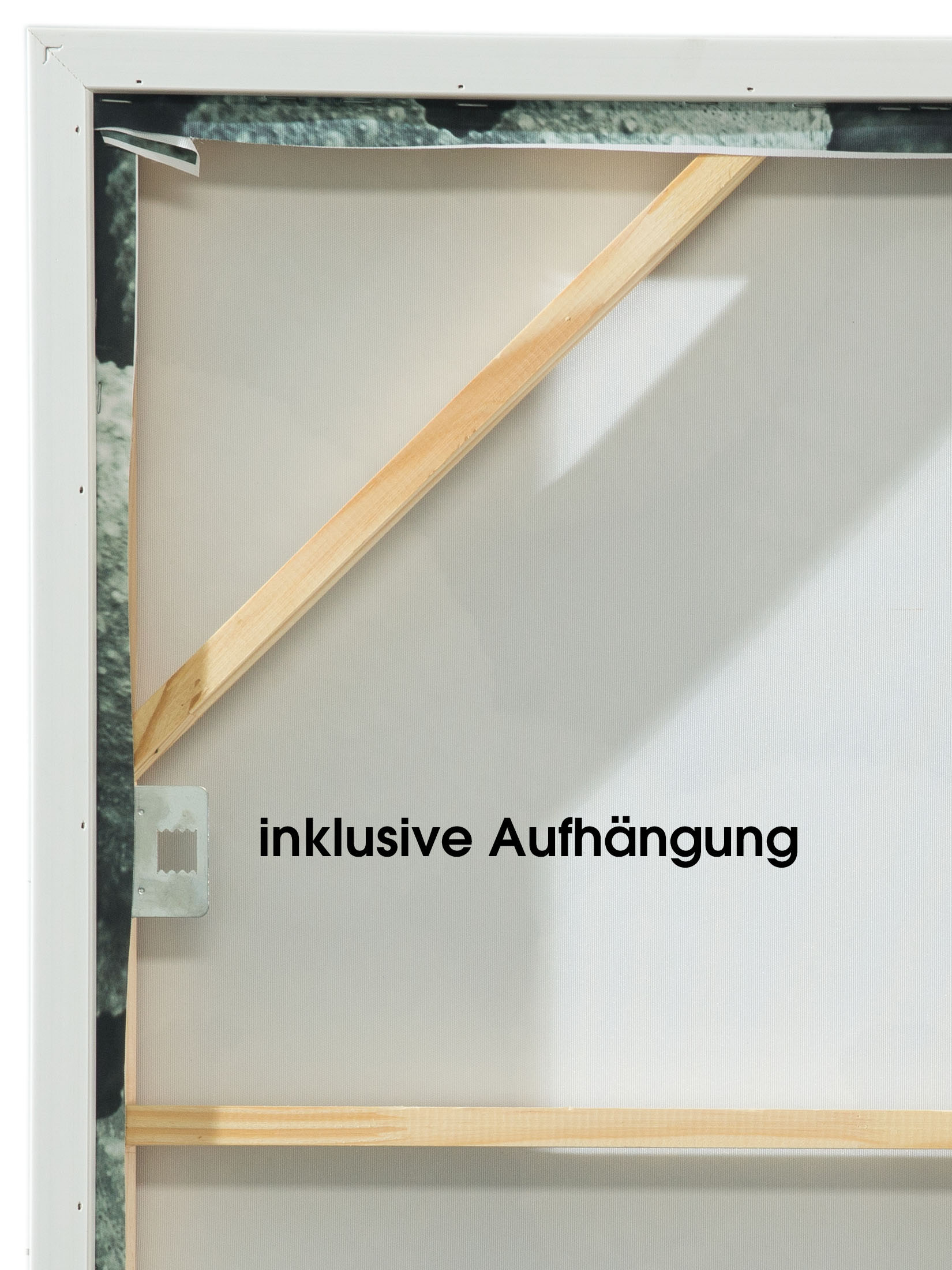 Seeigel Leinwand-Druck-gerahmt, Hellgrün