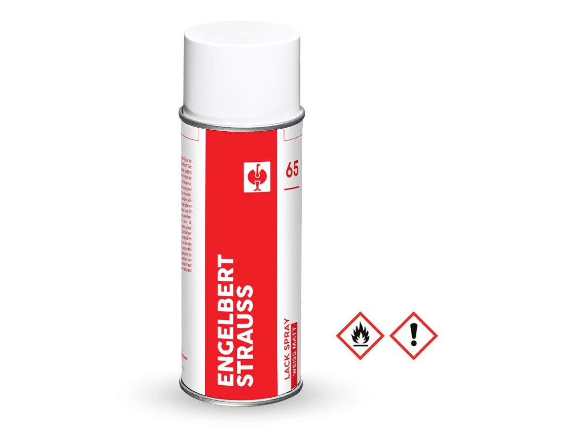 e.s. Lackspray #65