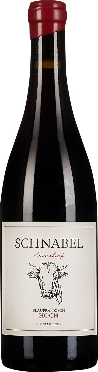 Schnabel Blaufränkisch Hoch 2019