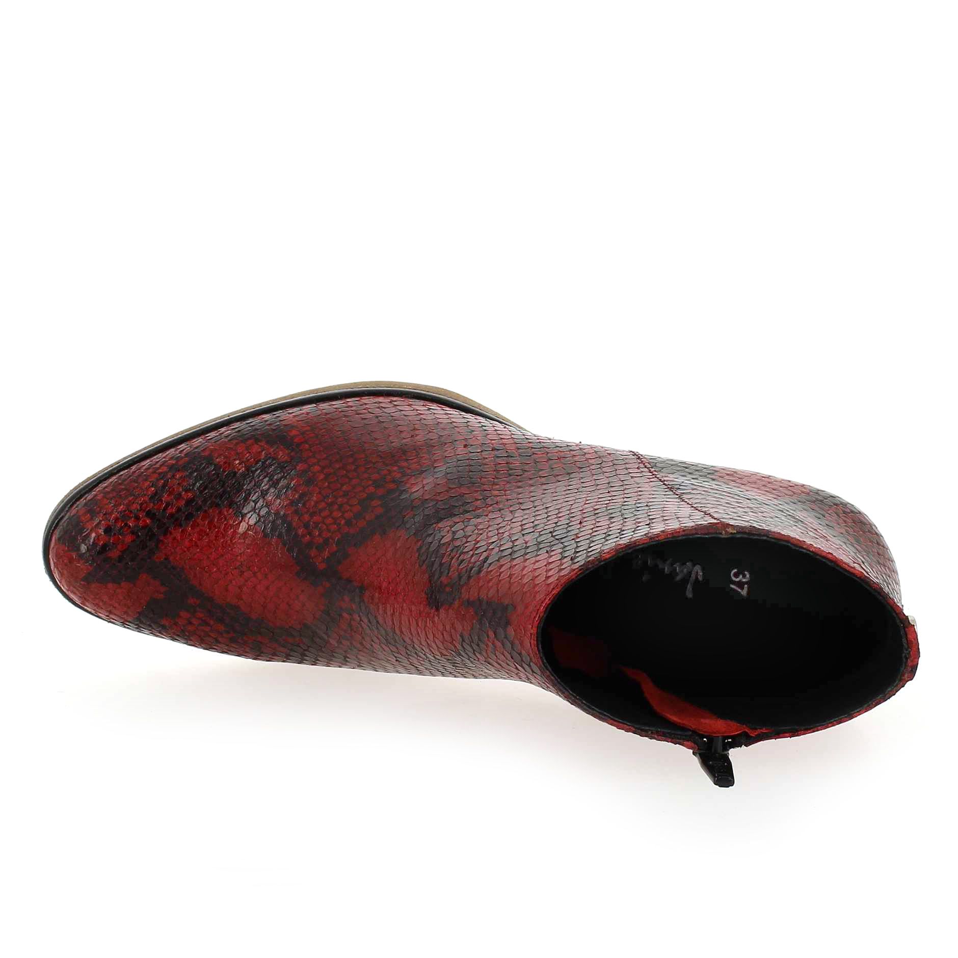 Janie Philip  MAX - Rouge python