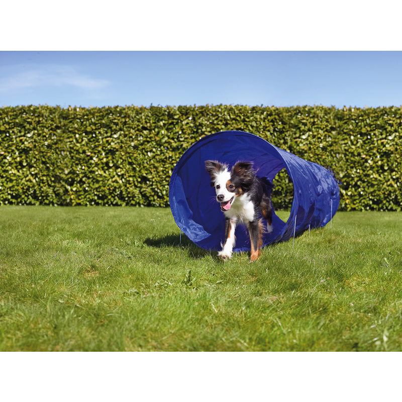 AniOne Agility & Training AniOne Agility Tunnel
