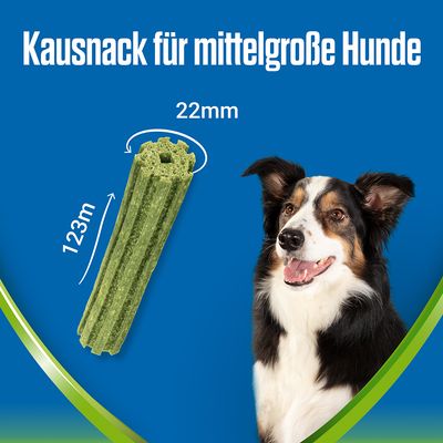 PURINA Dentalife Active Fresh Tägliche Zahnpflege-Snacks für mittelgroße Hunde