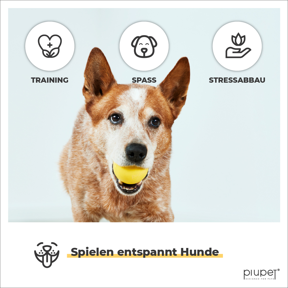PIUPET Hundebälle PIUPET Hundeball-Set