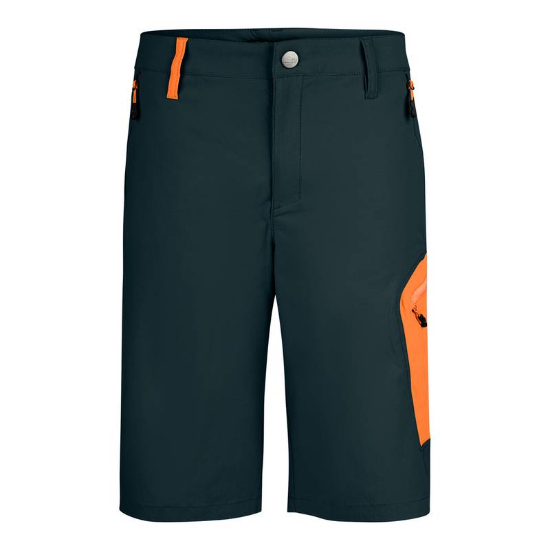 Jeff Green Jam Funktionsshorts Herren