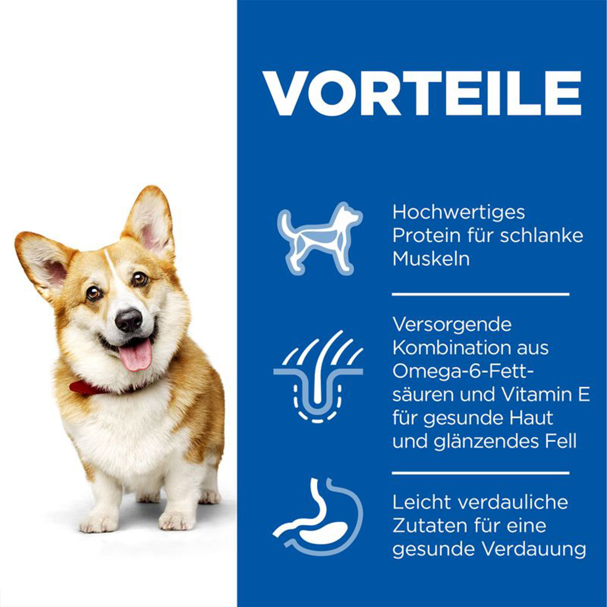 Hill's Science Plan Small&Mini Adult Huhn kaufen bei ZooRoyal