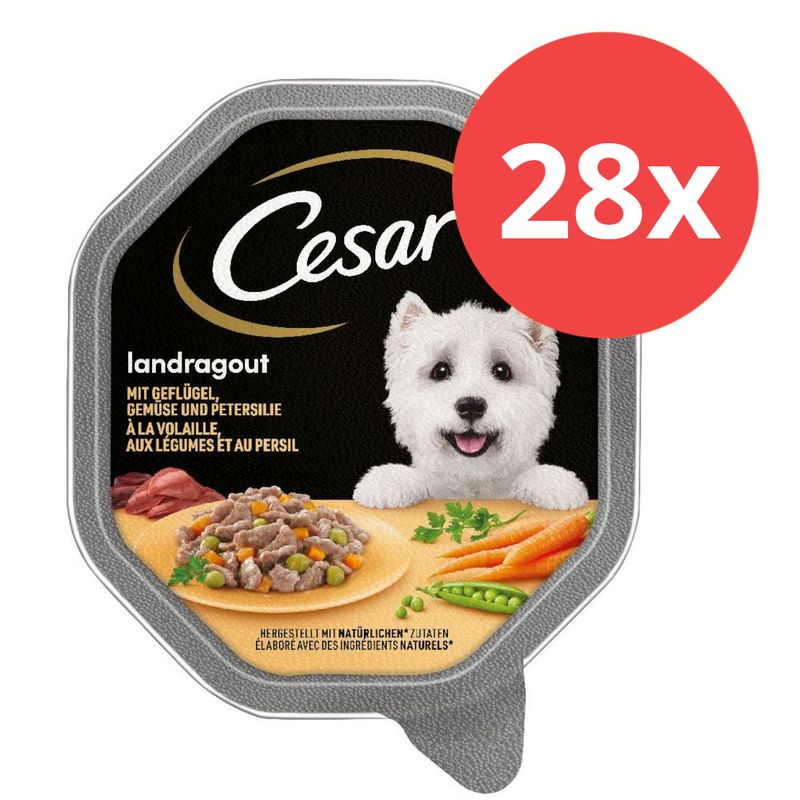 Sparpaket Cesar Schale 28 x 150 g