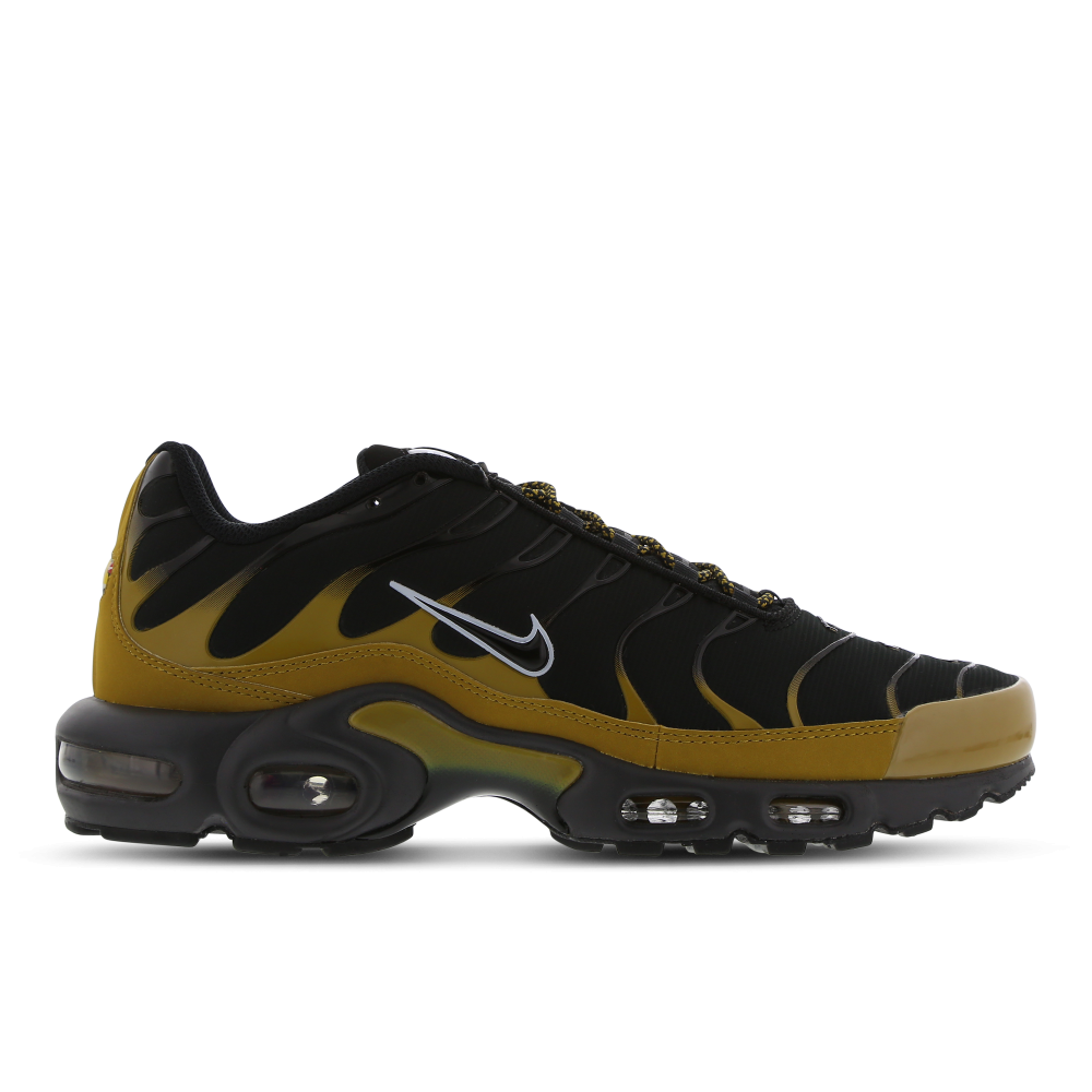Nike Air Max Plus FB9722-700 / braun