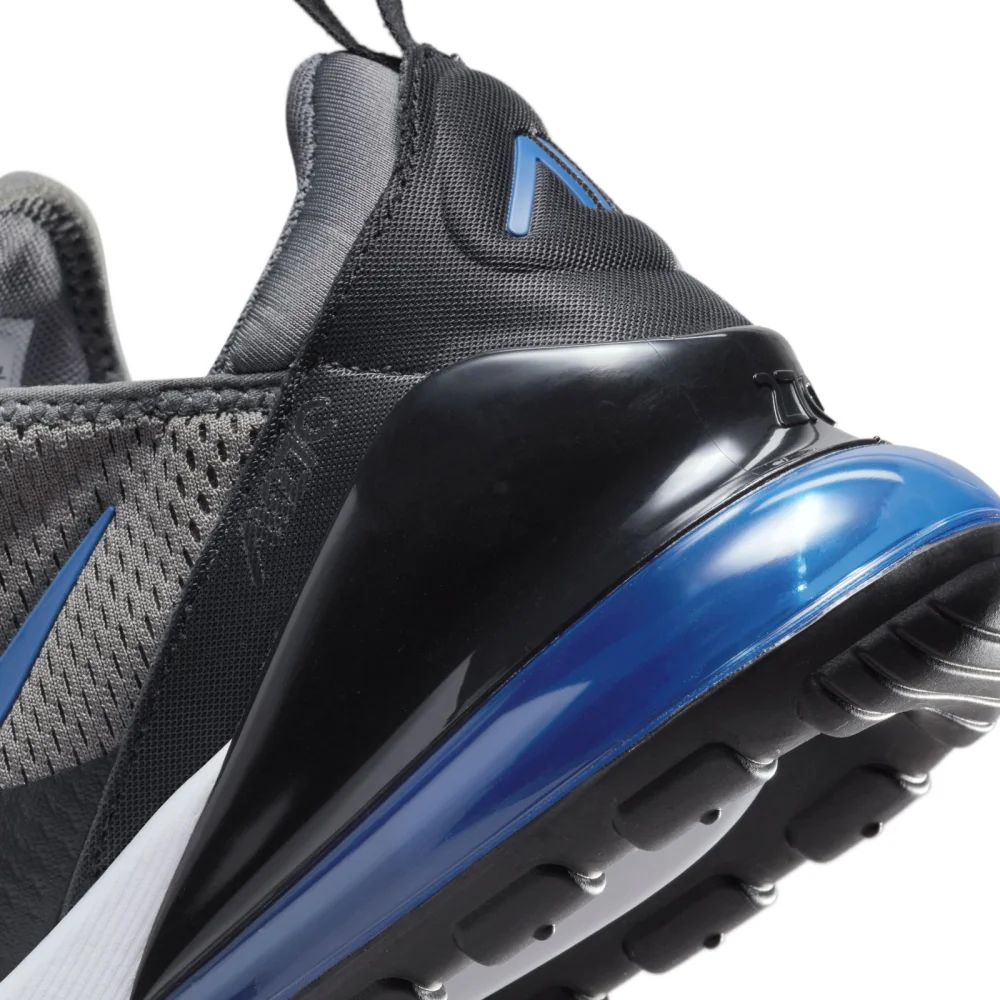 Nike Air Max 270 DV6494-001 / grau