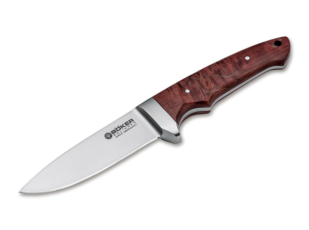 Integral II Maserbirke