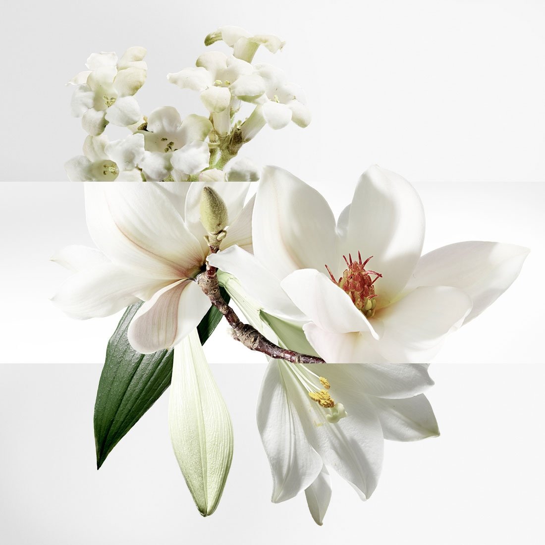 HERMÈS Un Jardin Sur la Lagune EAU DE TOILETTE SPRAY