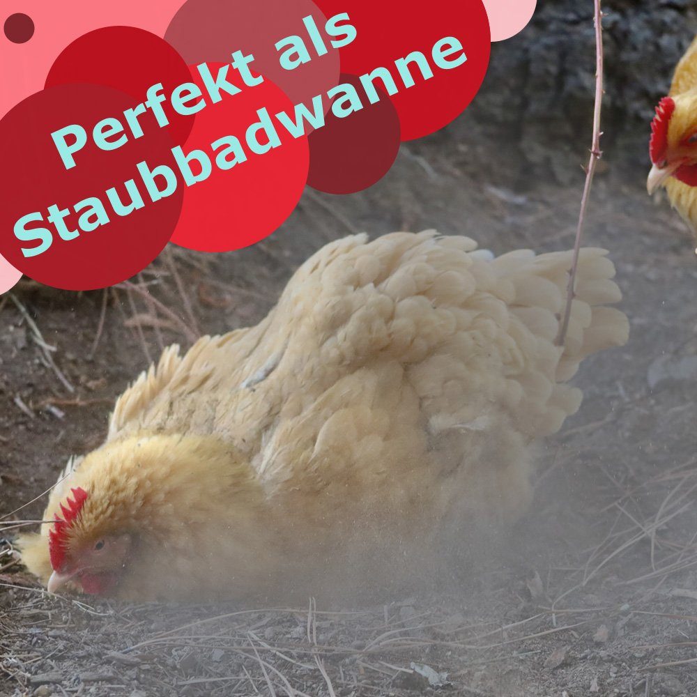 Petigi Allzweckkiste 2x Wanne Staubbad Kunststoff Plastik Schüssel 20L Plastikwanne Badewanne petigi