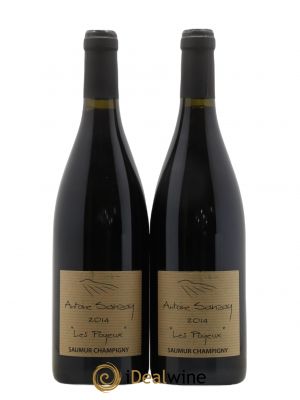 Saumur-Champigny Les Poyeux Antoine Sanzay  2014 - Lot de 2 Bouteilles