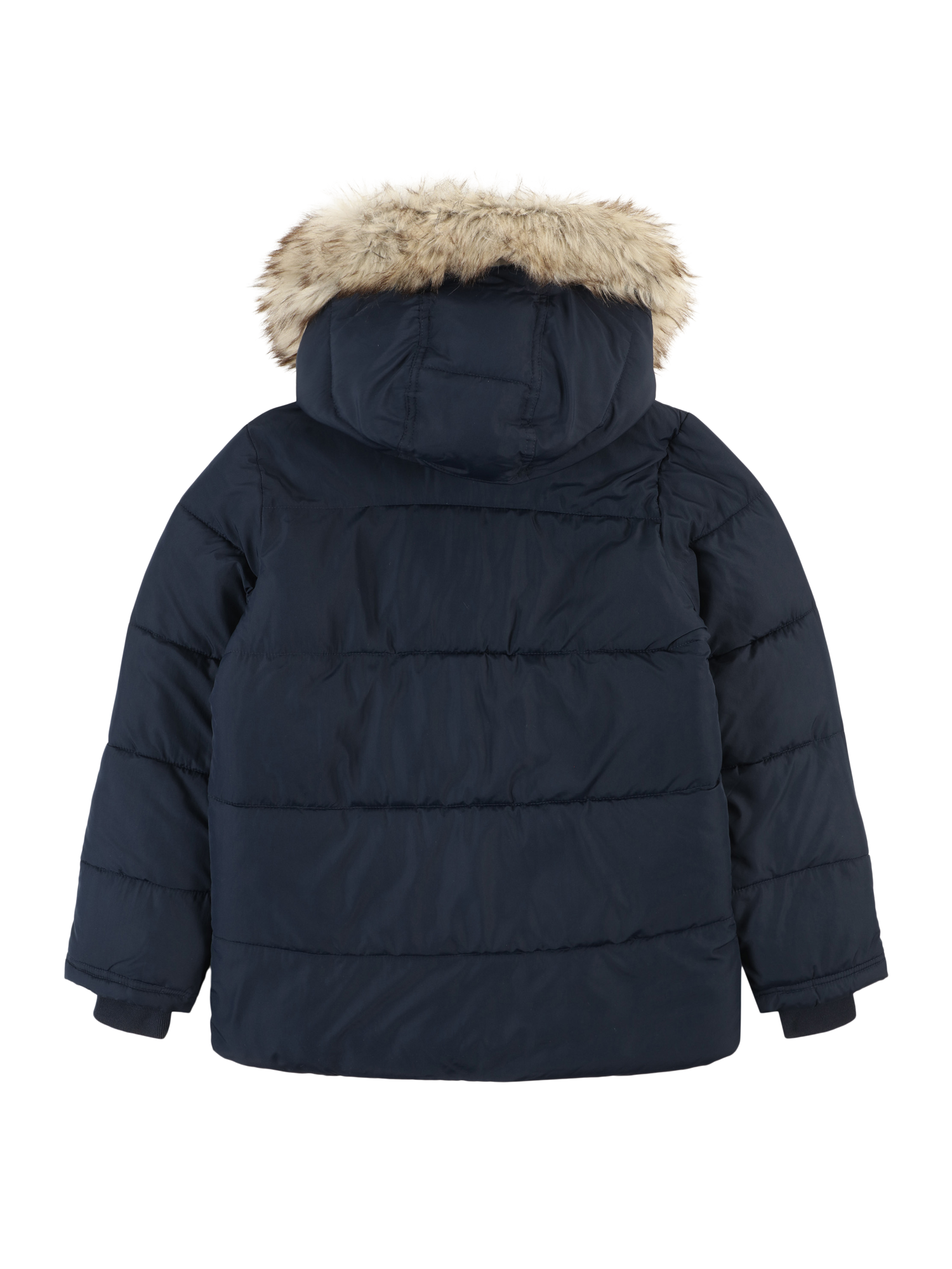 Winter Jacket