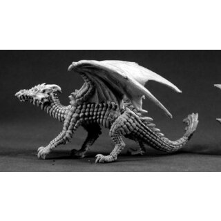 Young Fire Dragon (REA03332)