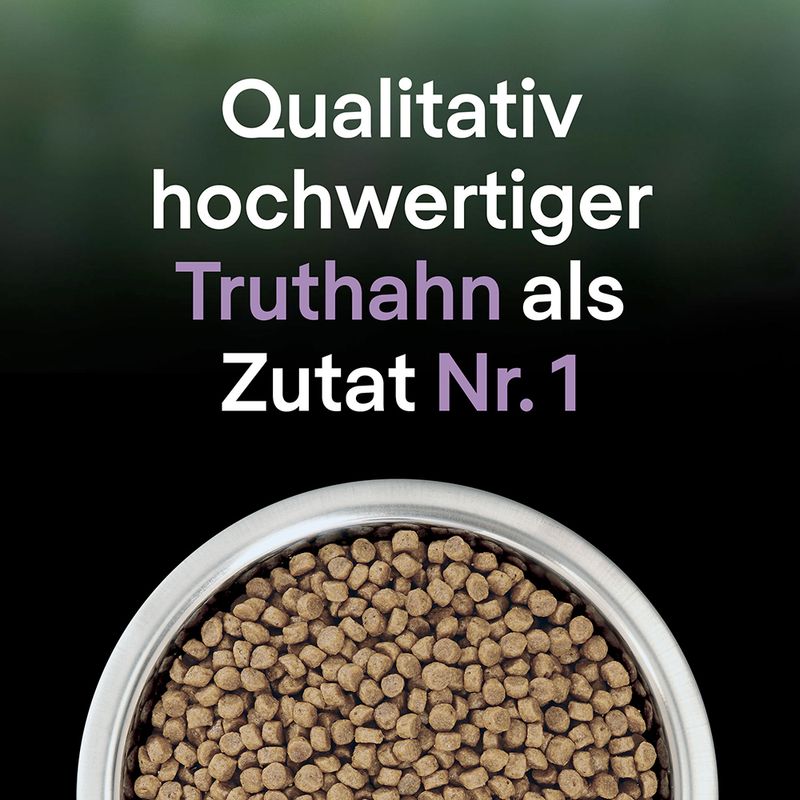 PURINA PRO PLAN LiveClear Kitten Truthahn zu