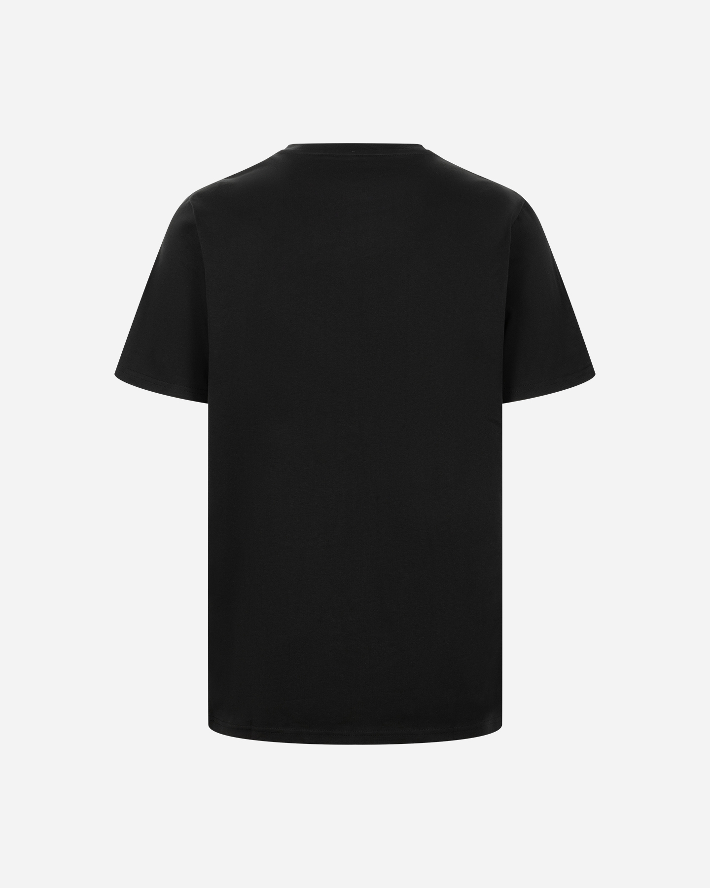 Camiseta Converse Chuck Patch Spry M 10027998-A02