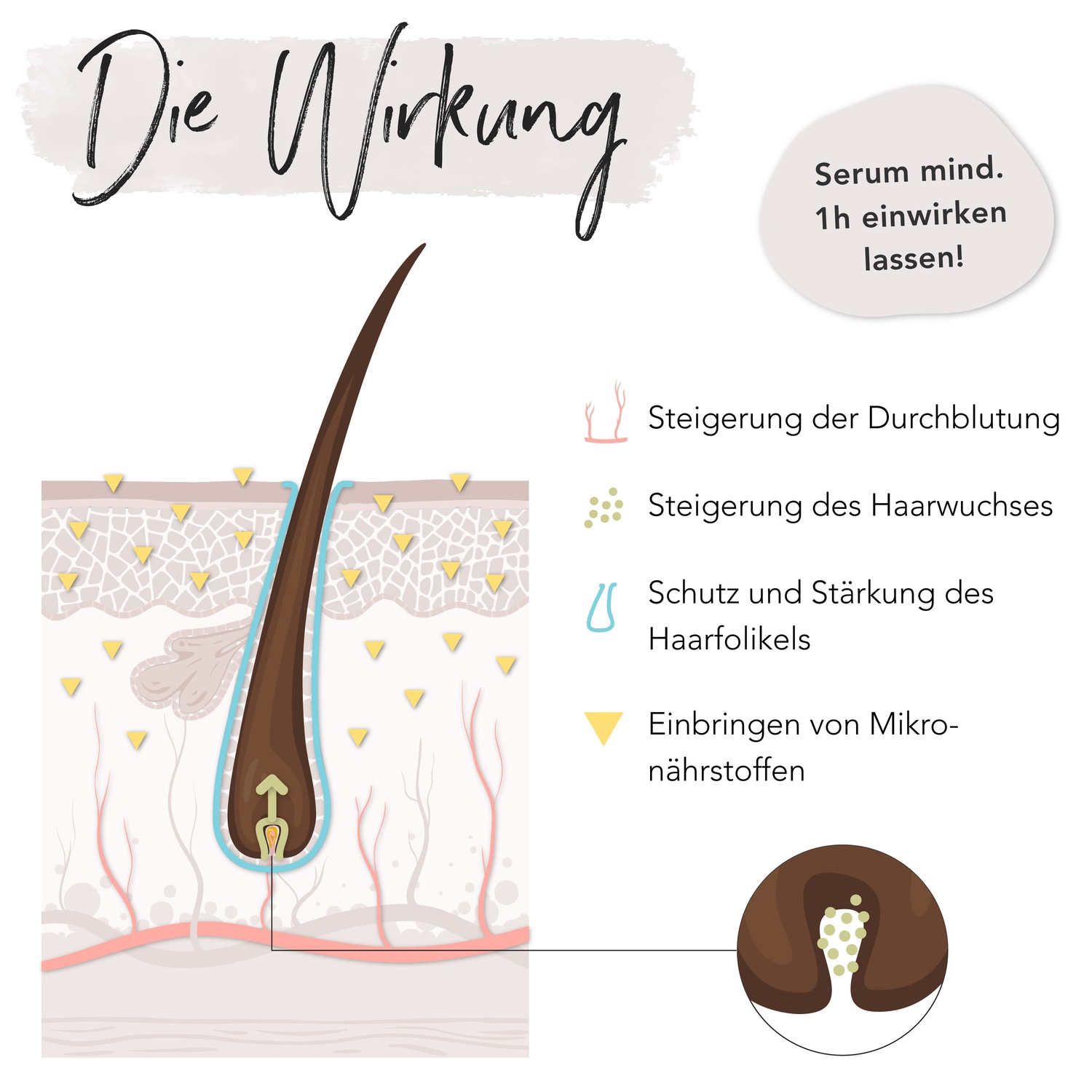 Haarwachstum Serum 50 ml