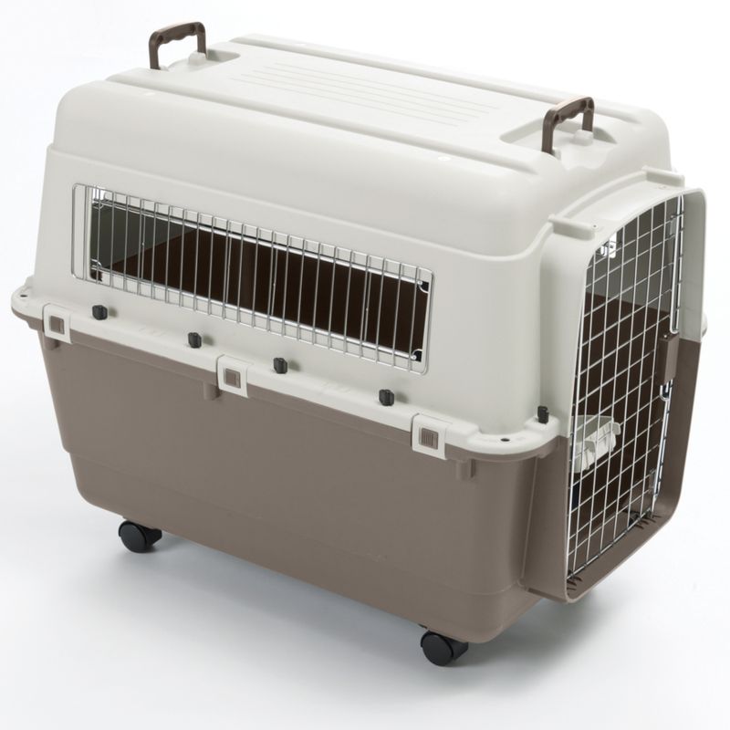 Savic Transportbox Feria mit Rollen zu TOP-Preisen