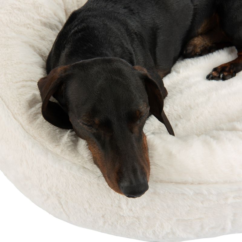 Kuschelbett Angora zu TOP-Preisen