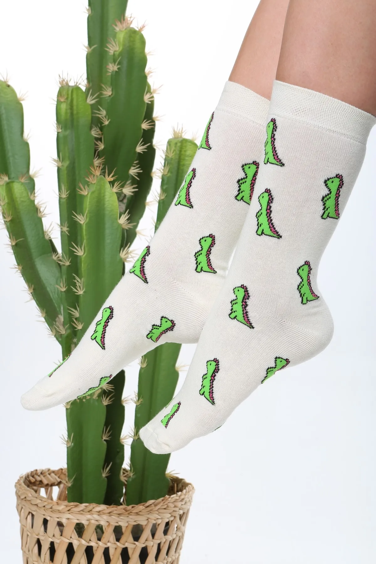 Socks Tunnel  Bunte Socken mit Dinosauriermuster