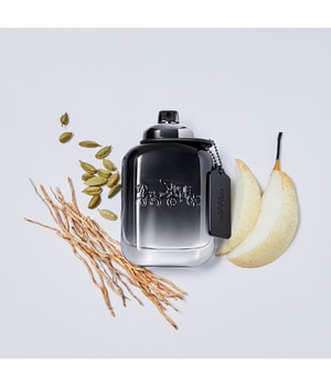 Coach Men Eau de Toilette 100 ml