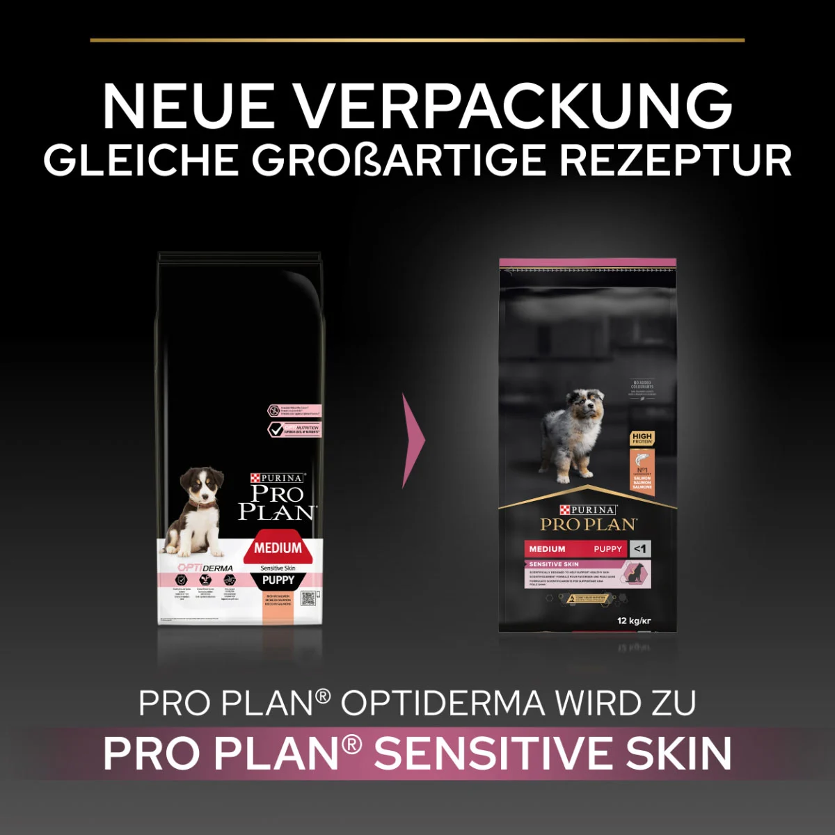 PRO PLAN Medium Puppy Sensitive Skin Lachs kaufen bei ZooRoyal