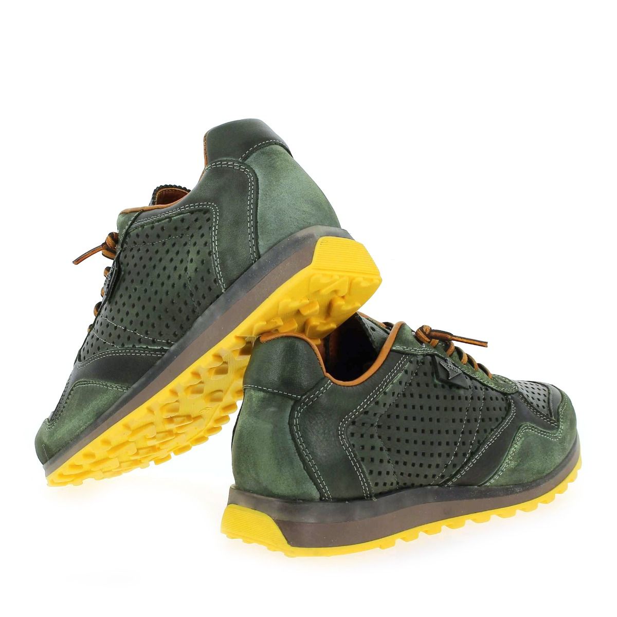 Cetti  C848 H22 - vert