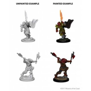 Dragonborn: Nolzurs Marvelous Unpainted Minis