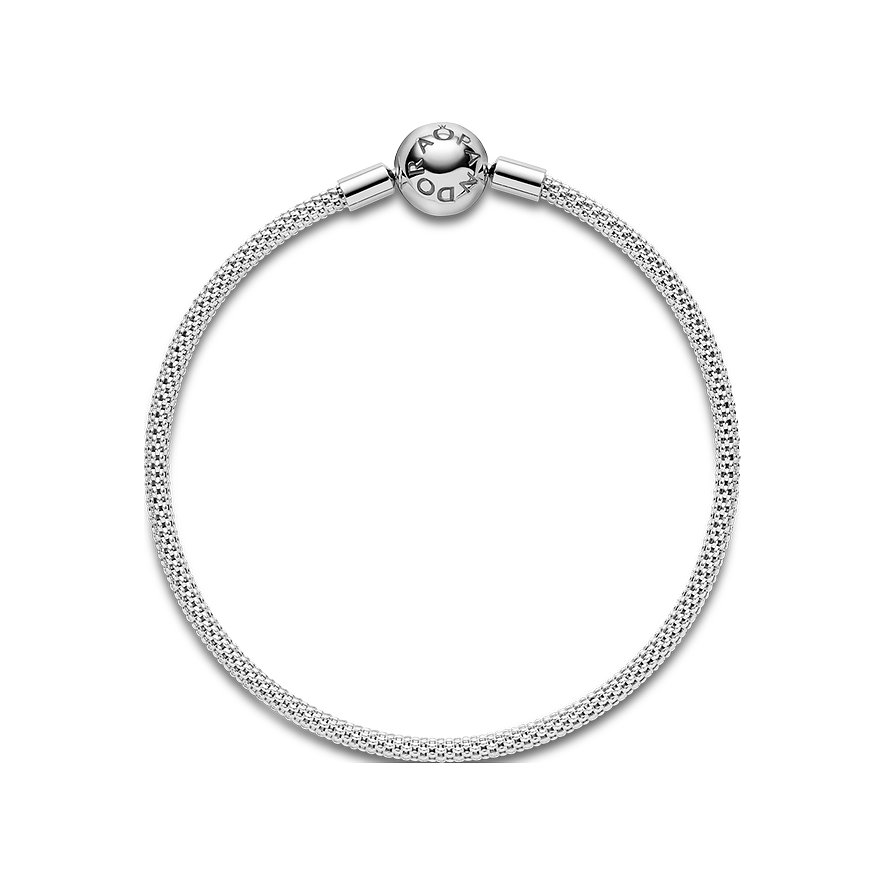 Pandora Armband Moments