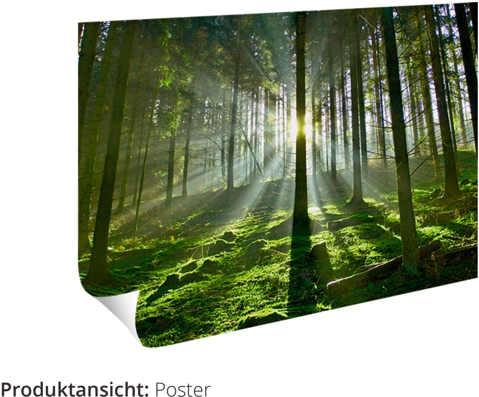 Artland Wandbild Maurin Quina. Um 1922, Schilder (1 St), als Leinwandbild, Wandaufkleber oder Poster in versch. Größen