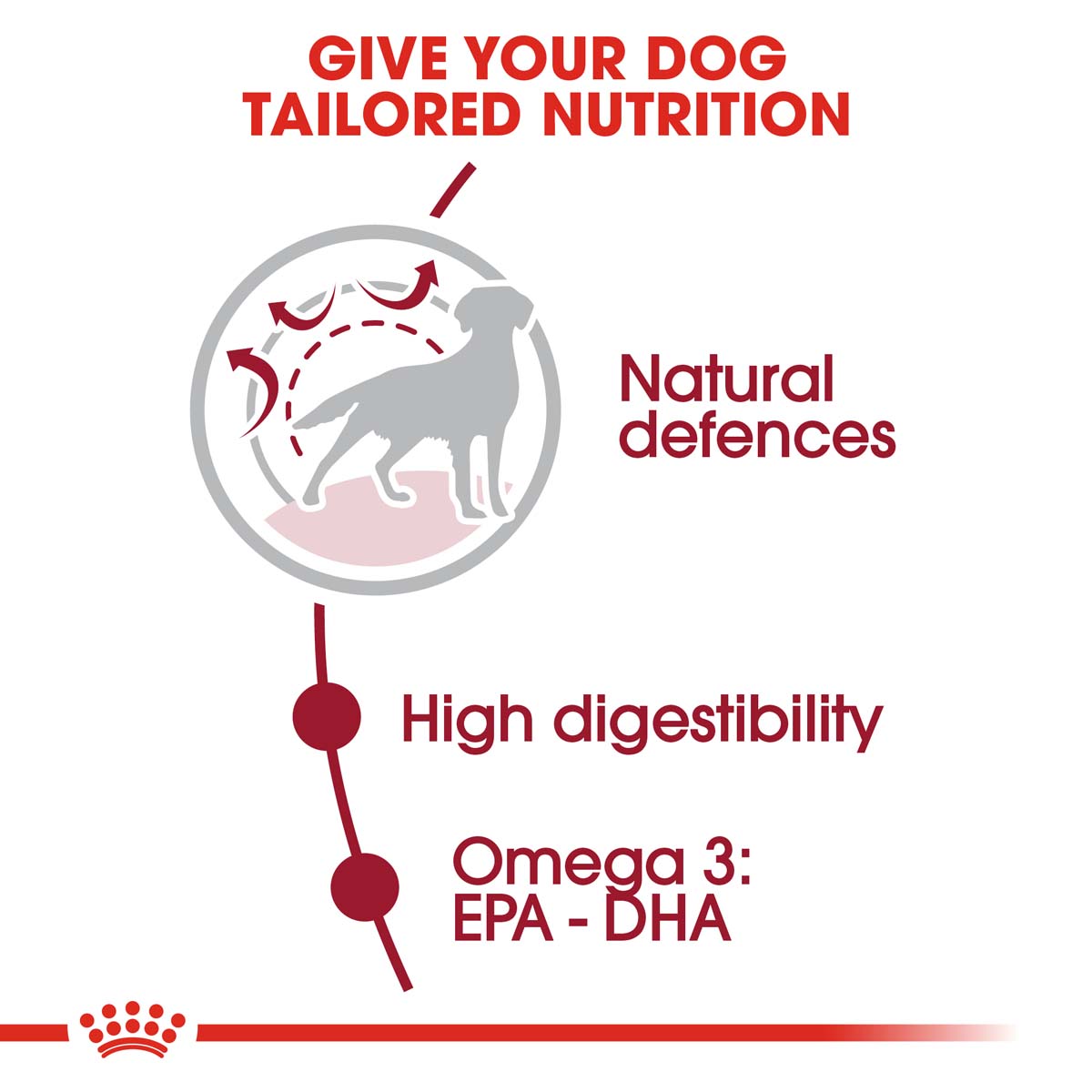 ROYAL CANIN MEDIUM Adult Trockenfutter für mittelgroße Hunde