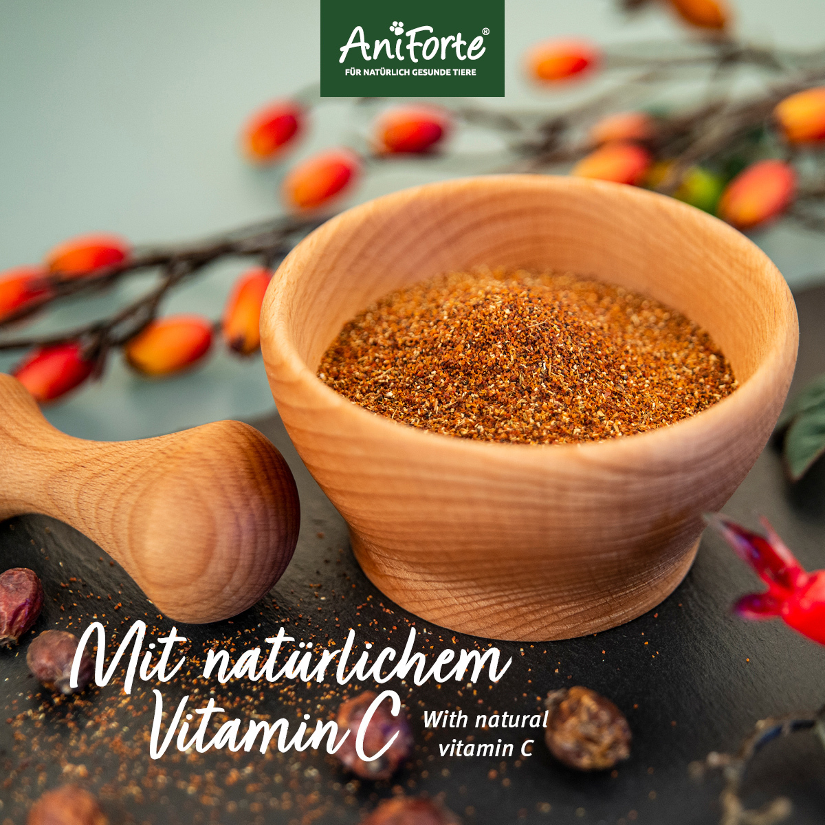 Aniforte Ergänzungsfutter & Aufzucht Aniforte Hagebuttenpulver 250 g