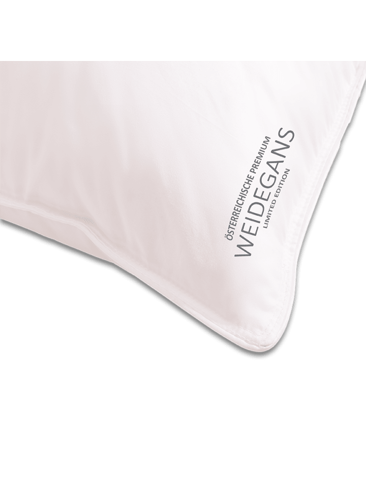Sanders-Kauffmann Kopfkissen Gänsedaunenkissen Weidegans 3 Kammerkissen in Weiß günstig kaufen 40 x 80 cm