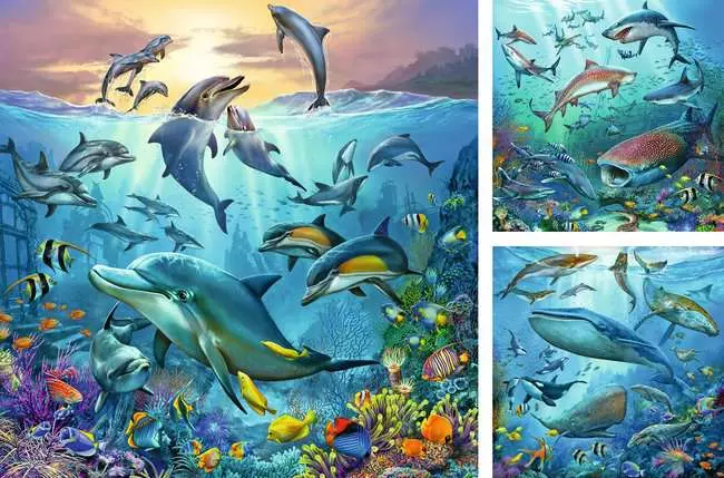 Kinderpuzzle ab 5 Jahren - Tierwelt des Ozeans - 49 Teile