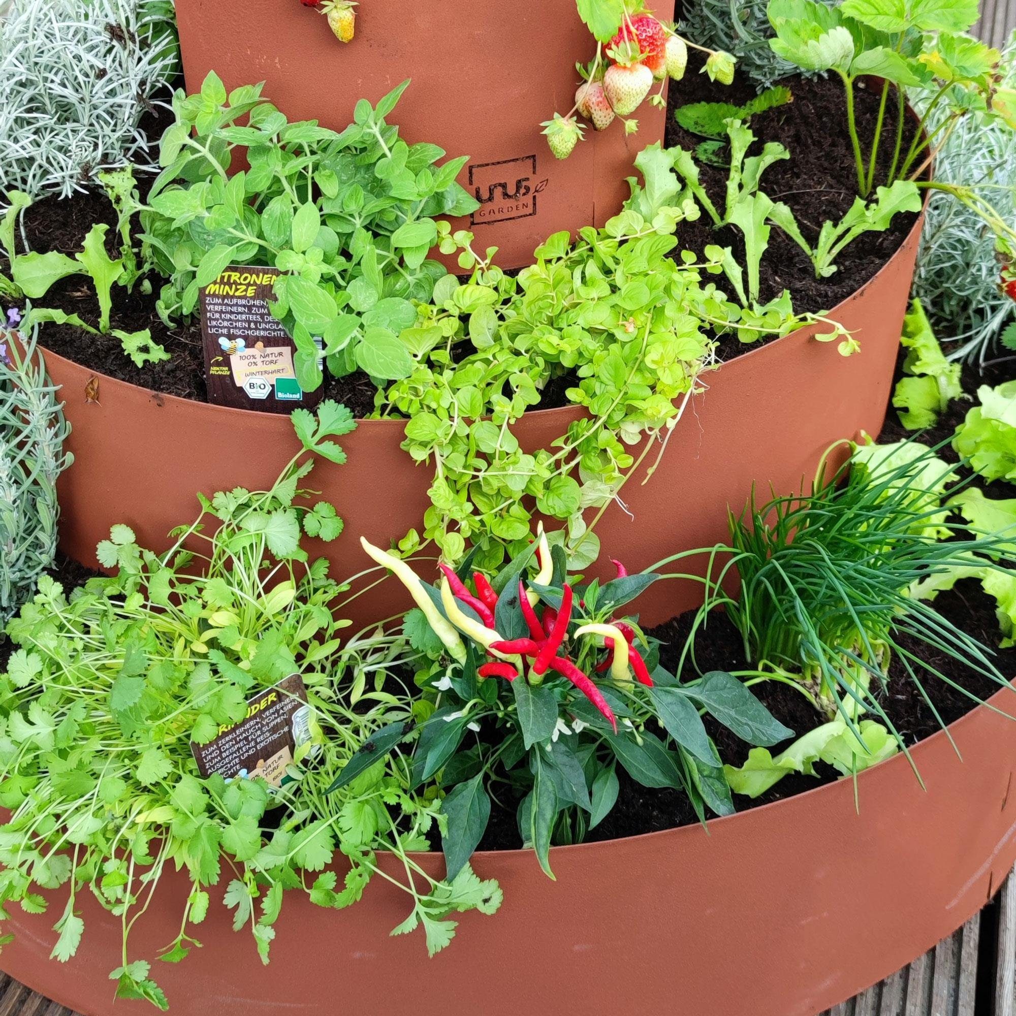 UNUS GARDEN Hochbeet Kräuterschnecke Rostoptik (3 Ringe Ø 30, 60 und 90 cm), Kräuterspirale Kräuterpyramide Pflanzring