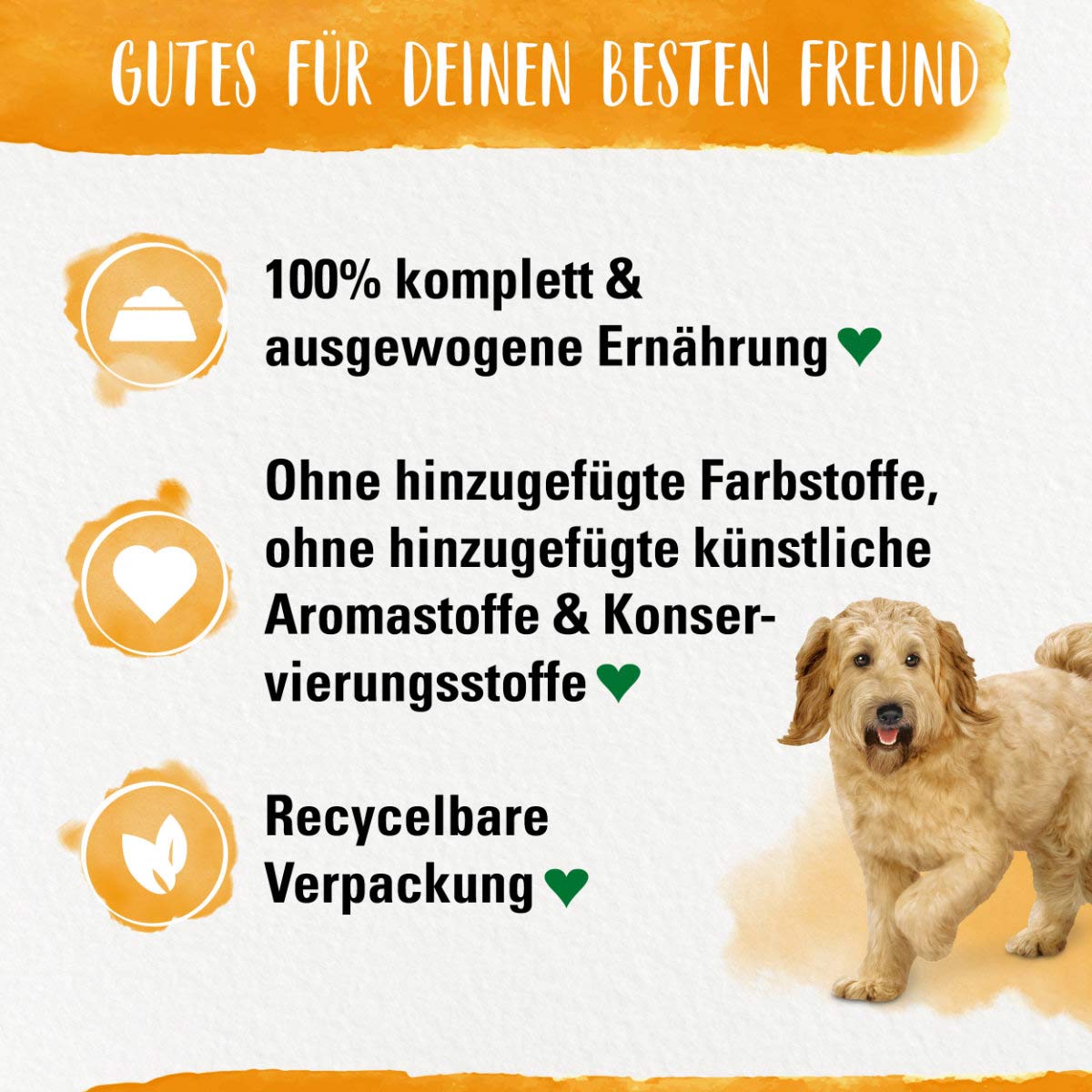 Beneful Tasty Grain Free getreidefrei Huhn kaufen bei ZooRoyal