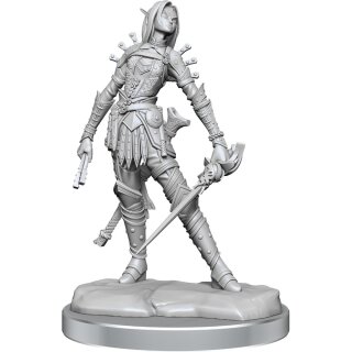 Pathfinder Legendary Cuts: Female Elf Rogue (2)