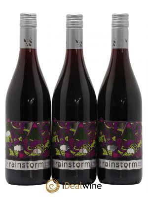 USA Oregon Pinot Noir Rainstorm 2011 - Lot de 3 Bouteilles