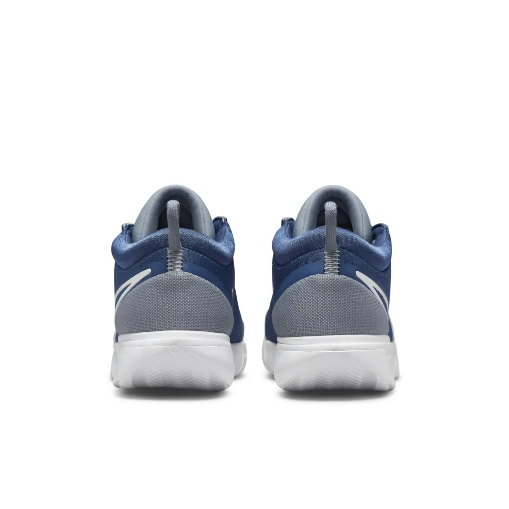Nike M Zoom CLY Pro Court DH2603-405 / grau