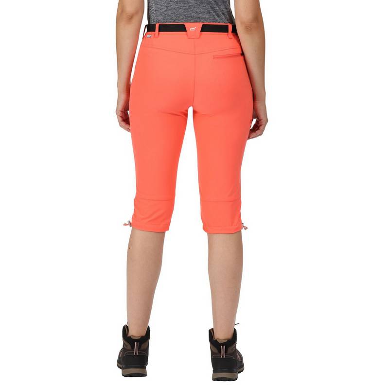 Regatta Xert Capri Wanderhose Damen