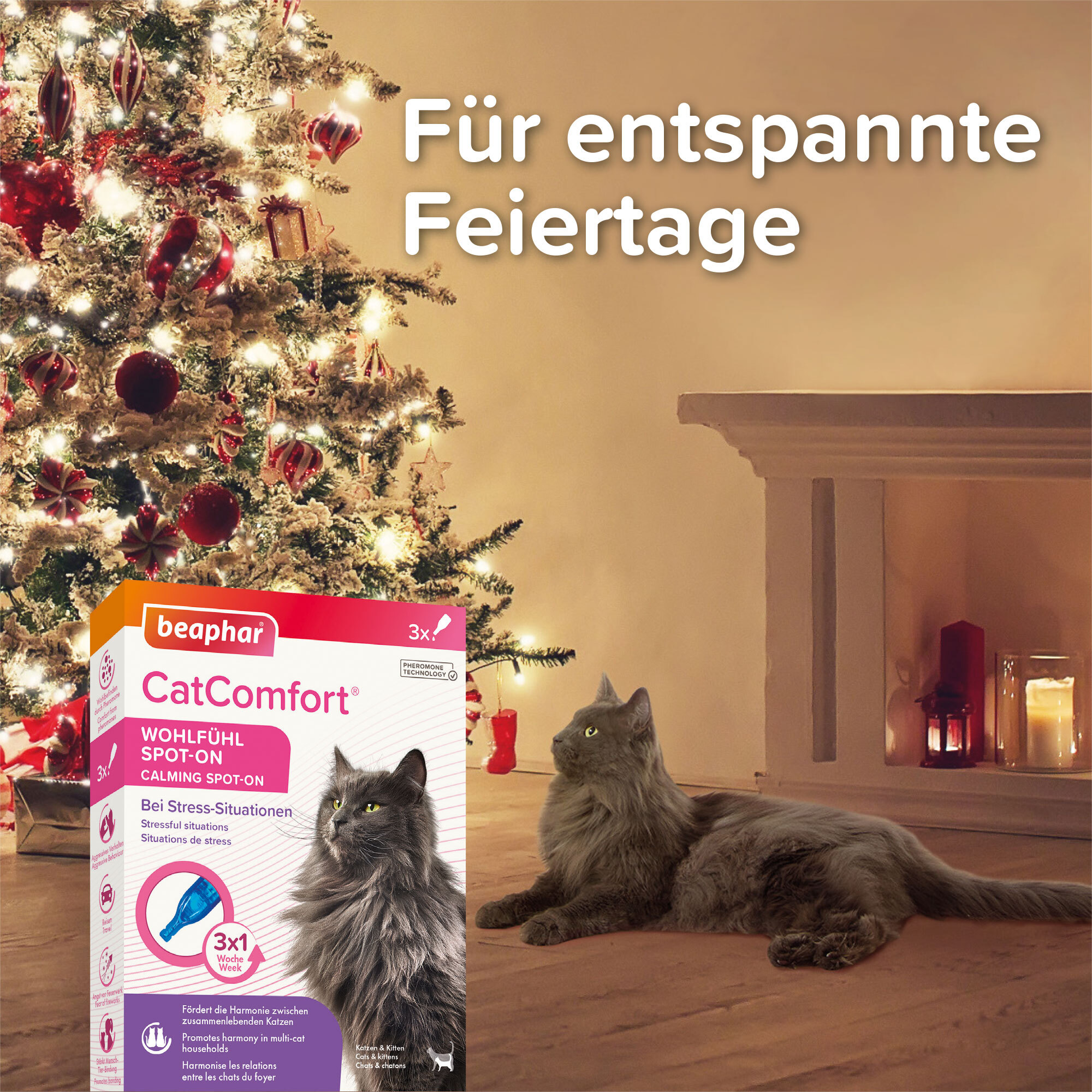 Beaphar Beruhigungsmittel Beaphar CatComfort Wohlfühl Spot-On 3x055 ml