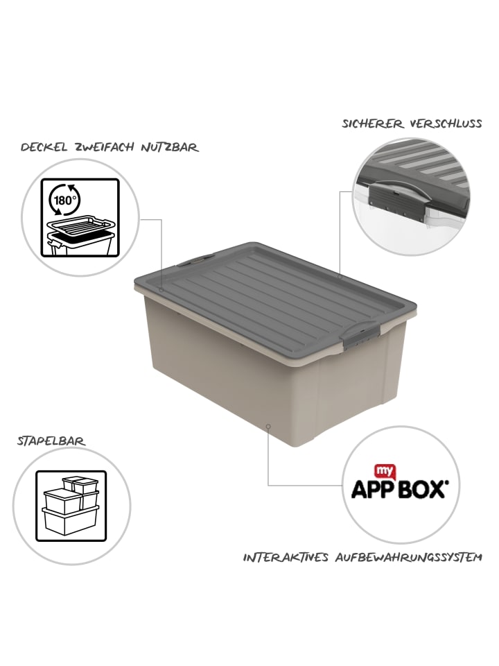 Rotho Stapelbox DIN A3, 38 l COMPACT günstig kaufen onesize
