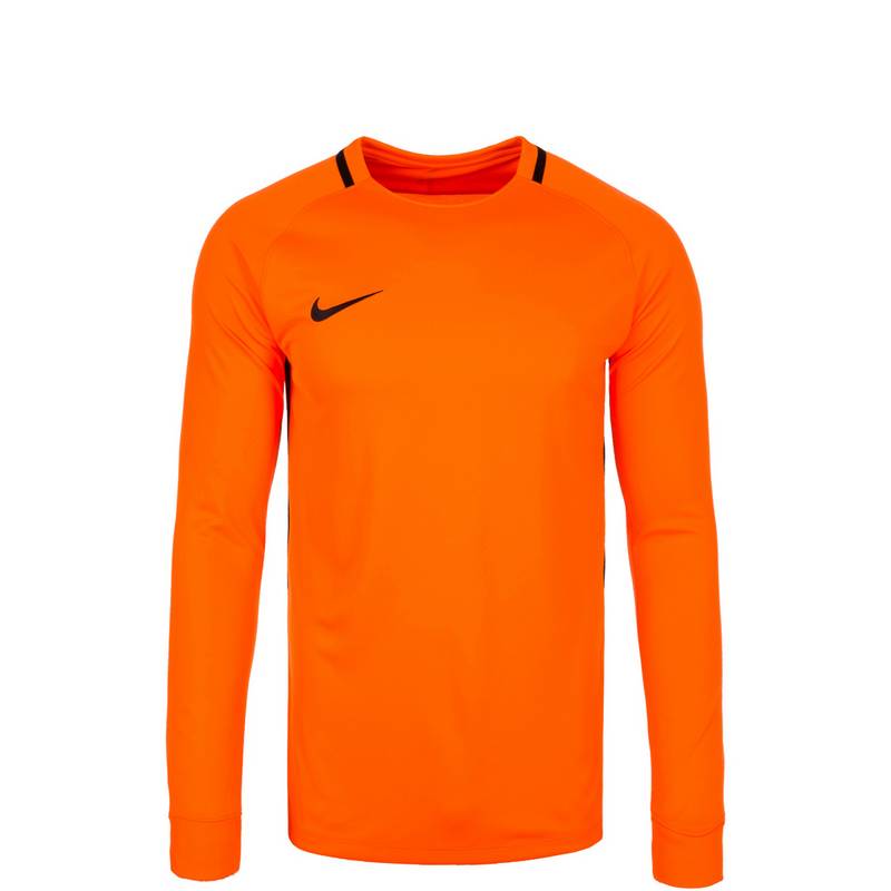 Nike Dry Park III Trikot Jungen