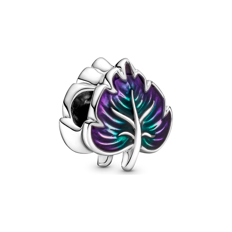 Pandora Charm Moments