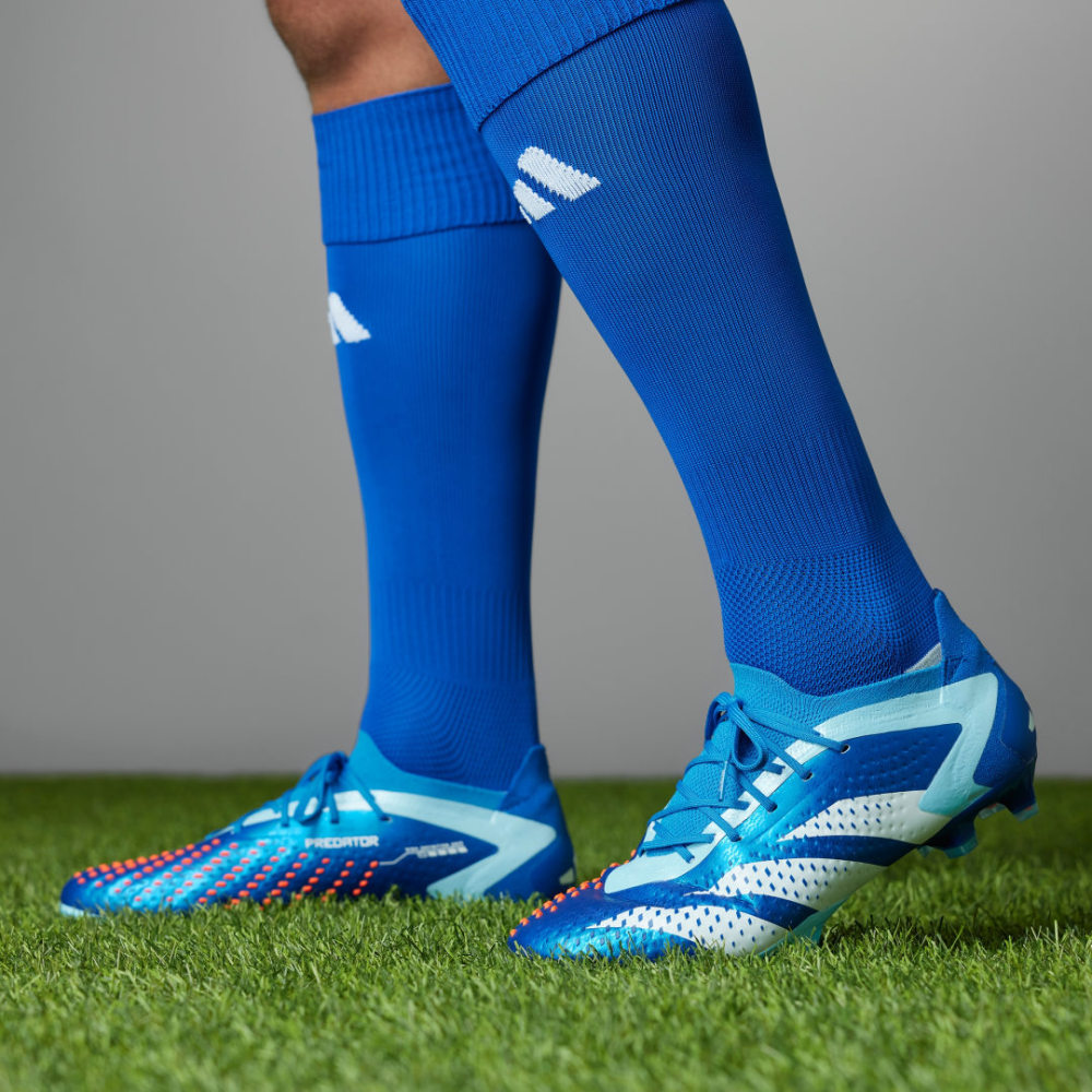 adidas Predator Accuracy.1 Low FG GZ0031 / blau