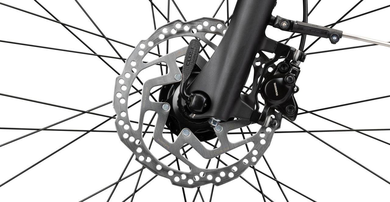 Radon Solution Comfort 7.0 Lady kaufen | Bike-Discount