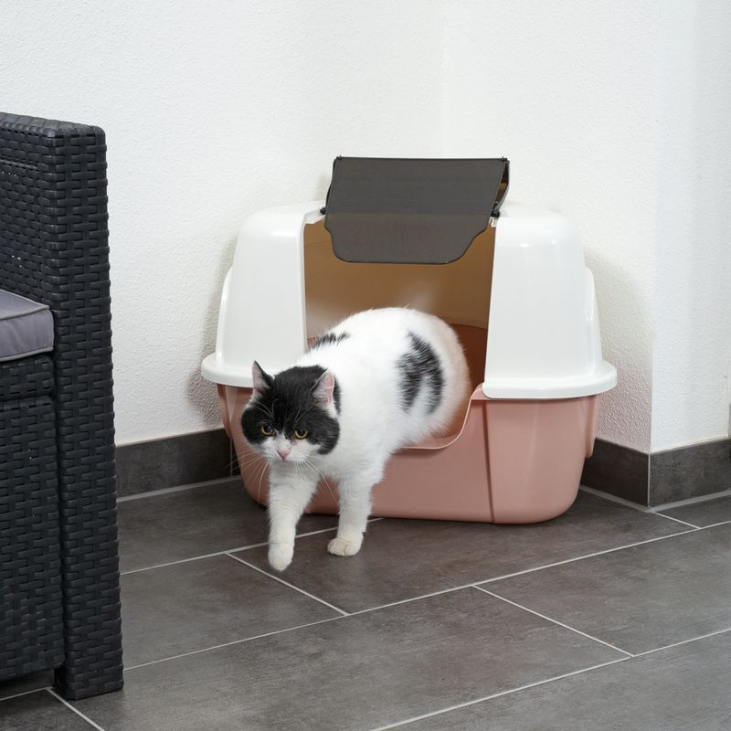 TIAKI Eckhaubentoilette Parfait zu TOP-Preisen