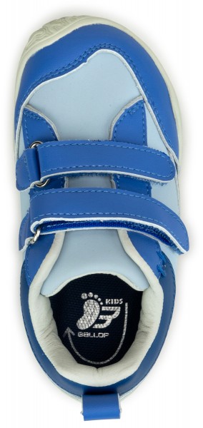 Ballop kids ~ Tenui ~ Blue