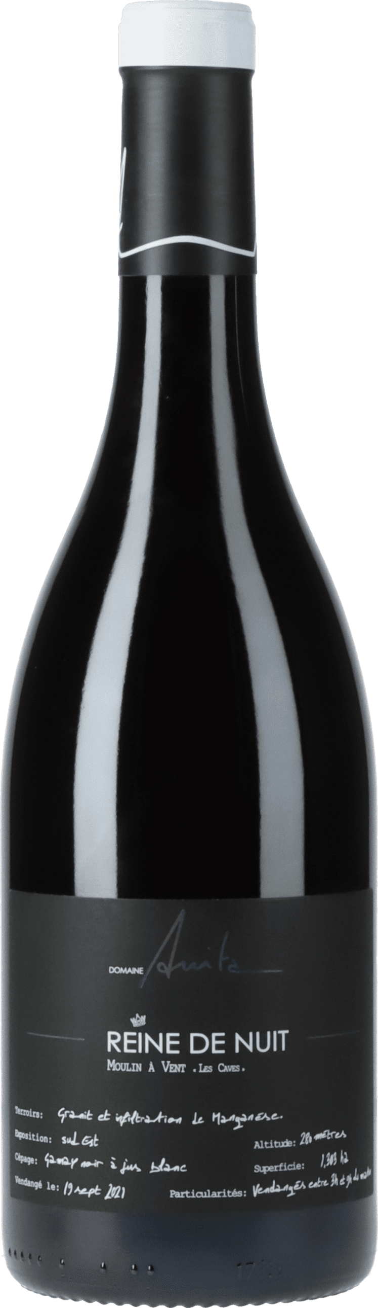 Domaine Anita: Beaujolais Moulin a Vent Reine de Nuit 2022