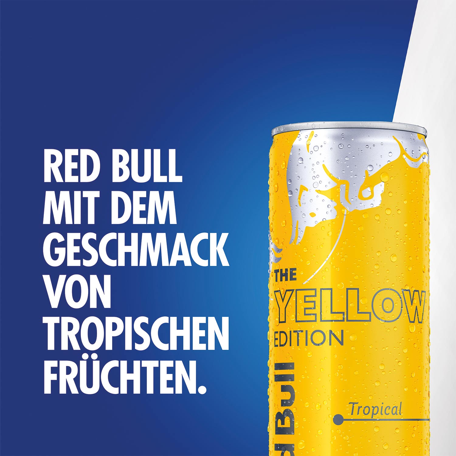 Red Bull The Yellow Edition Tropical 250ml